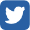 twitter-icon-widget